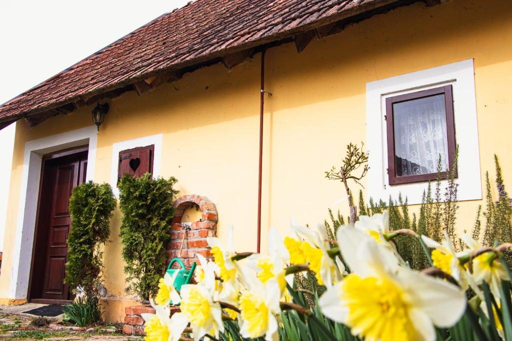 Zahrada ubytování Country House Ivančan