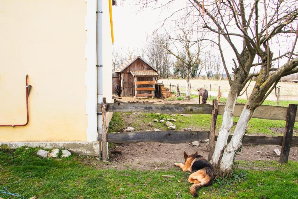 Zahrada ubytování Country House Ivančan