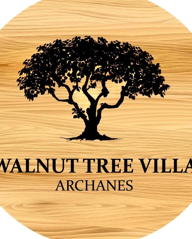 Certifikát, hodnocení, plakát nebo jiný dokument vystavený v ubytování WALNUT TREE VILLA