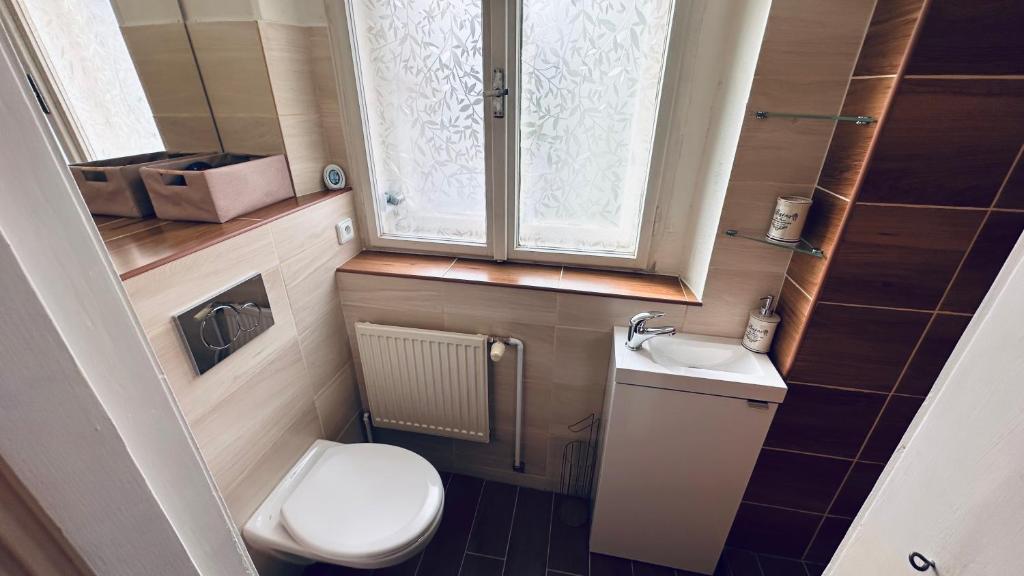 Koupelna v ubytování Apartmán Alesta Bruntál