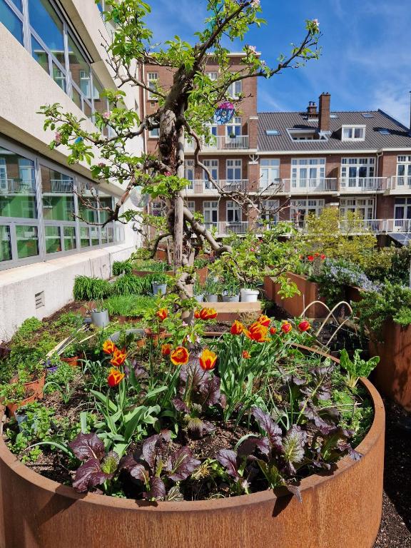 Court Garden Hotel - Resim 26