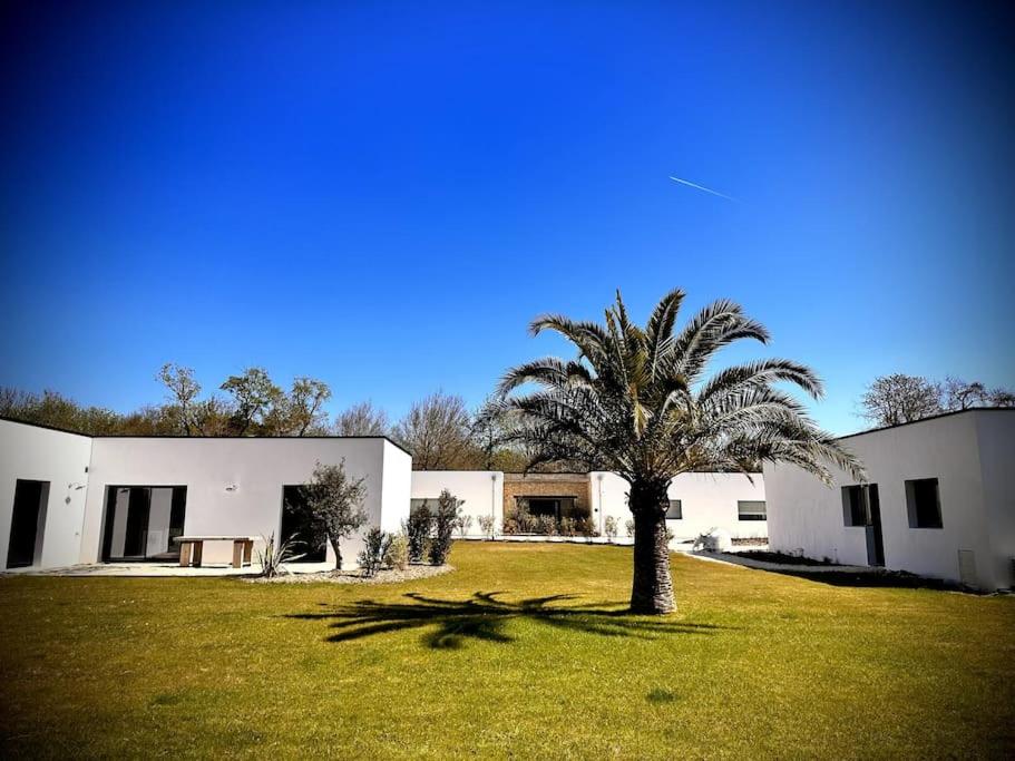 una palma di fronte a un edificio bianco di L'émeraude - Avec jardin a Lagord