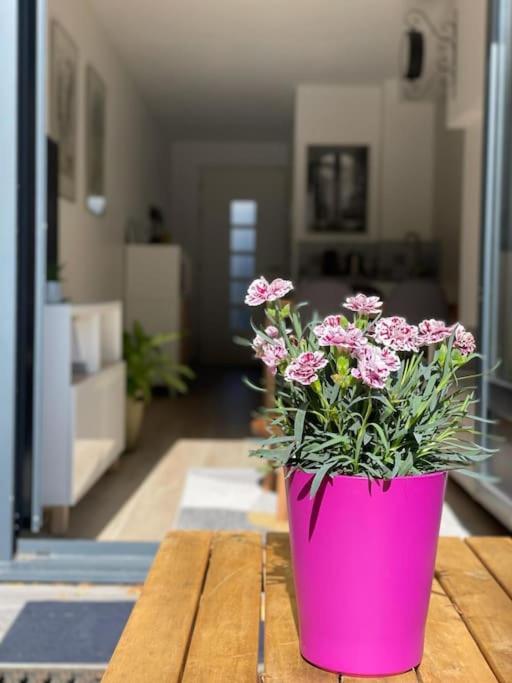 un pot de fleurs roses assis sur une table en bois dans l'établissement Studio Cosy Fleur de Lys, à Versailles