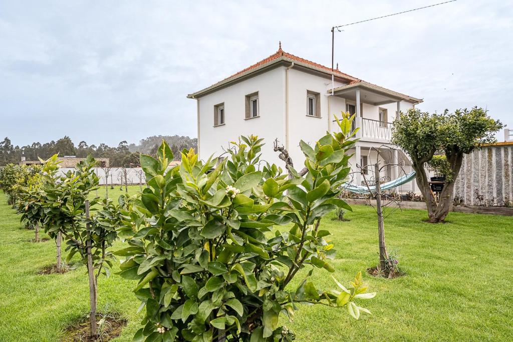 una casa blanca con árboles delante de ella en Retro-modern retreat in Esposende, en Esposende