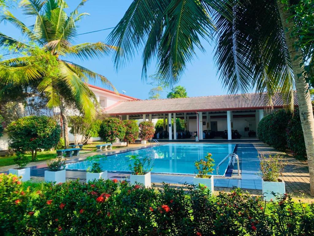 un complexe avec une piscine et des palmiers dans l'établissement Hotel Water Nest, à Etagama
