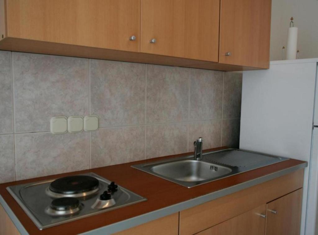 Kuchyň nebo kuchyňský kout v ubytování Apartments Trogrlić
