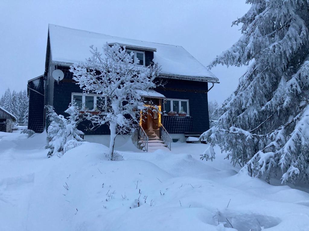 a house covered in snow with a tree in front of it at Ferienhaus Rennsteigblick in Eisfeld