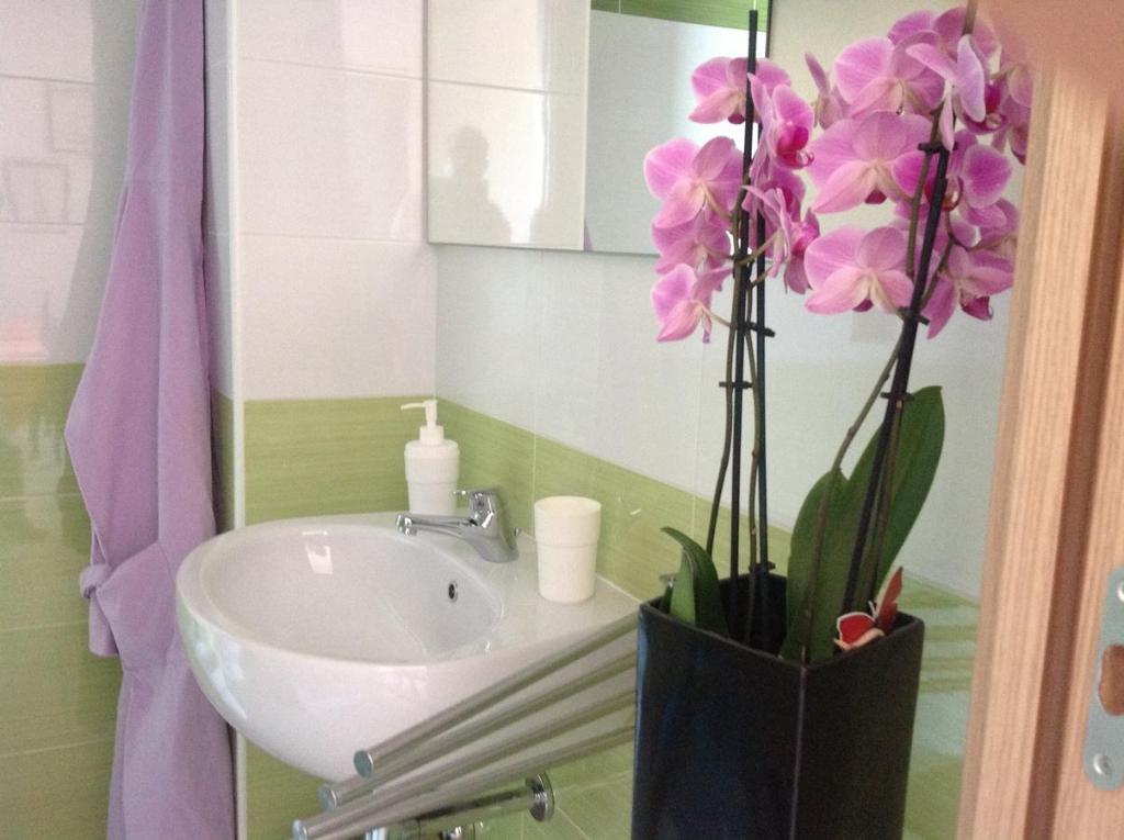 Koupelna v ubytování B&B Pontemare