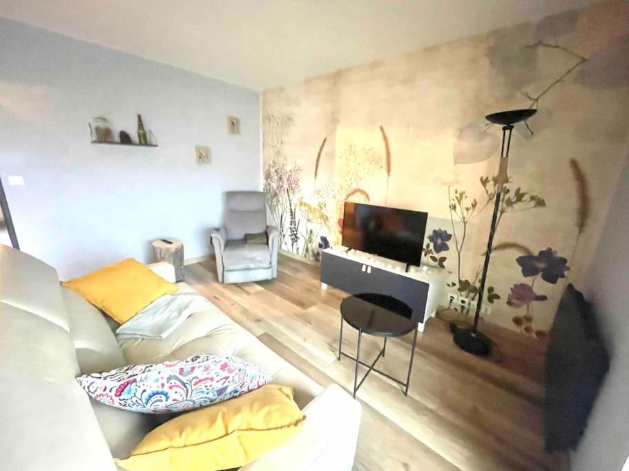 uma sala de estar com um sofá e uma televisão em Le bellevue (parking gratuit) em Besançon