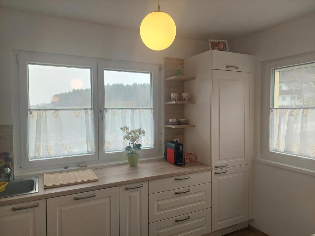 uma cozinha com armários brancos e duas janelas em Appartment Gartenblick em Klopein am Klopeiner See