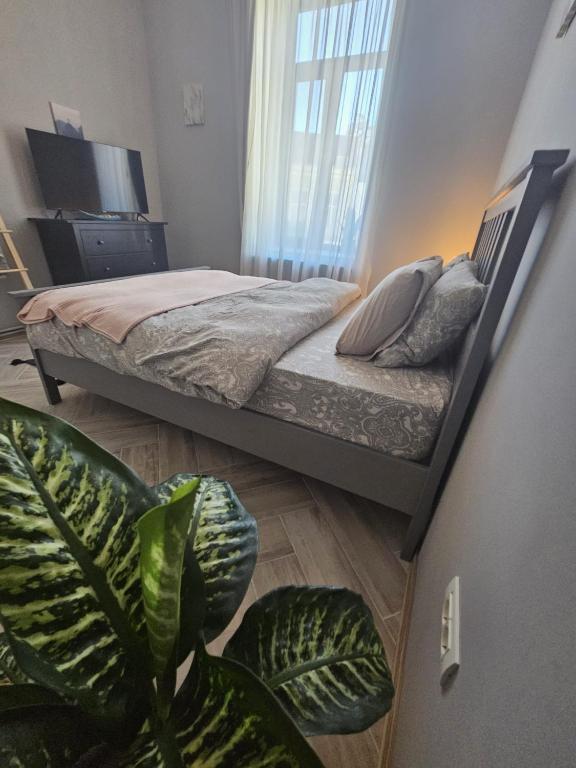 ZIG ZAG apartment 4- Old Town - Twee Slaapkamers Appartement