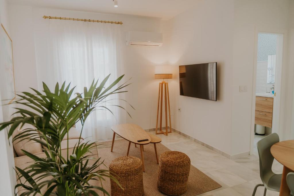 サンルーカル・デ・バラメダにあるApartamento El Mazacote Sanlúcar de Barramedaのリビングルーム(テレビ、植物付)
