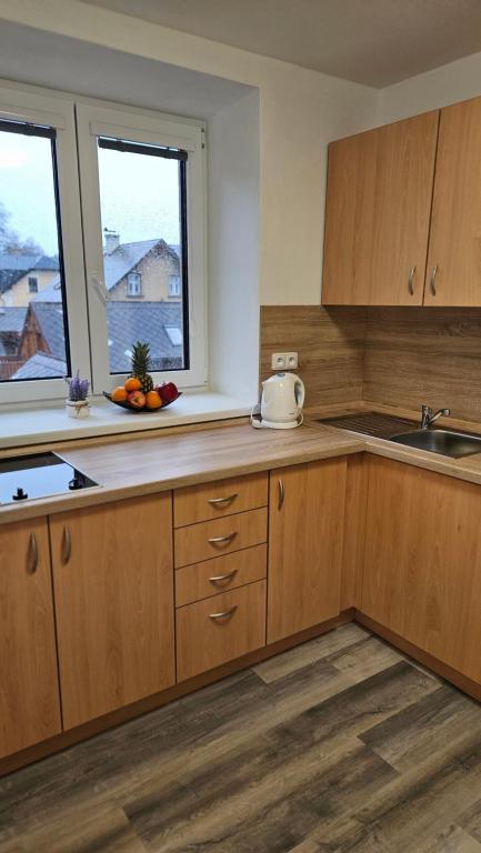 Kuchyň nebo kuchyňský kout v ubytování Apartmány U Provazníka
