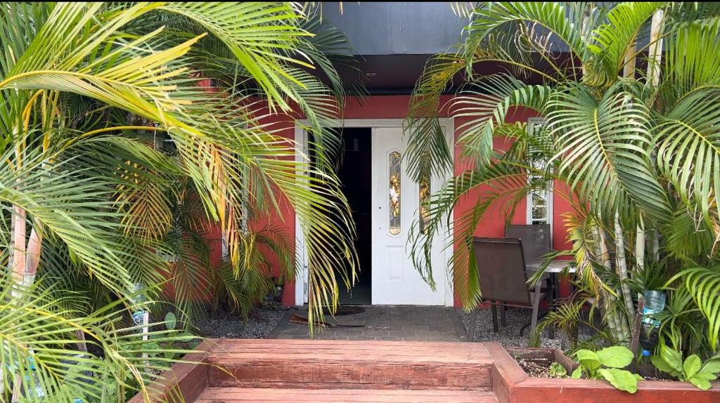 a house with palm trees in front of a door at Luxurious two bathroom apartment Paramaribo, Zorg en Hoop in Paramaribo