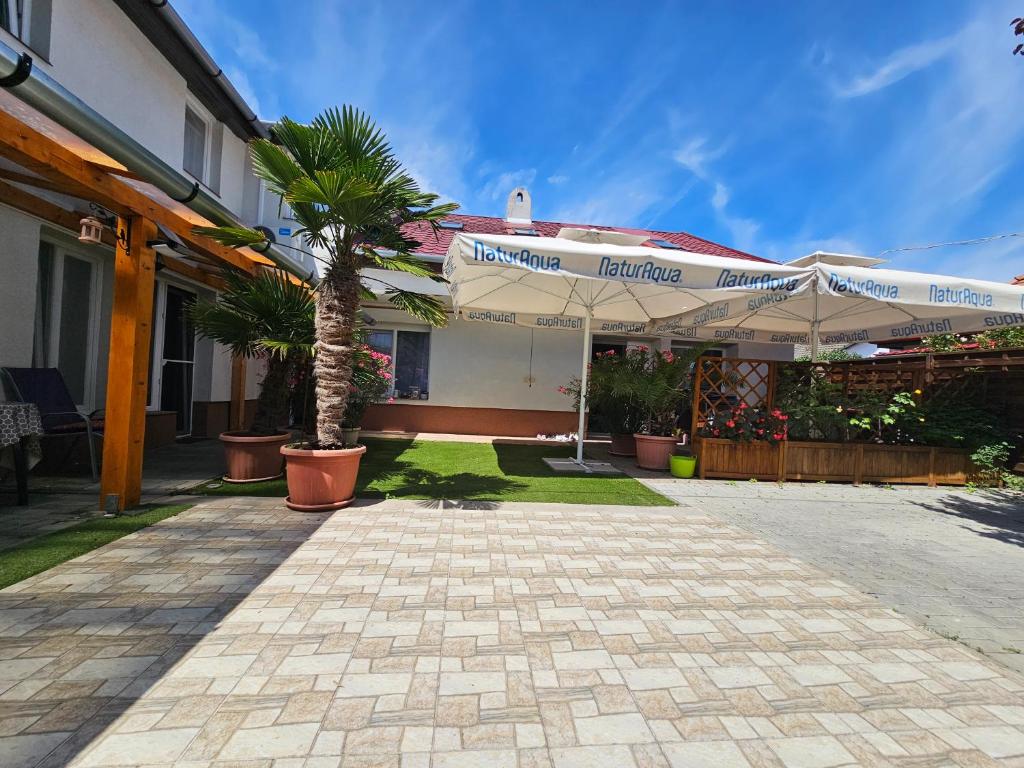 a house with a patio with an umbrella and a palm tree at Hédi Vendégház Eger in Eger