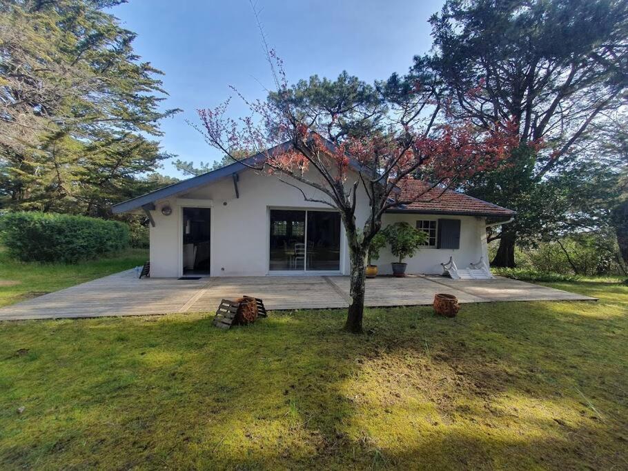 une petite maison blanche avec un arbre dans la cour dans l'établissement Villa proche centre-ville - 8182, à Soulac-sur-Mer