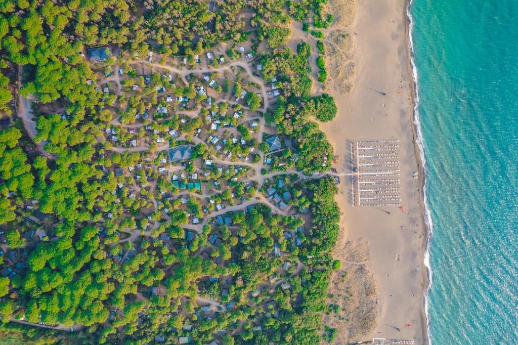 una vista aerea di una spiaggia con alberi e l'oceano di Etruria Camping Village a Marina di Castagneto Carducci