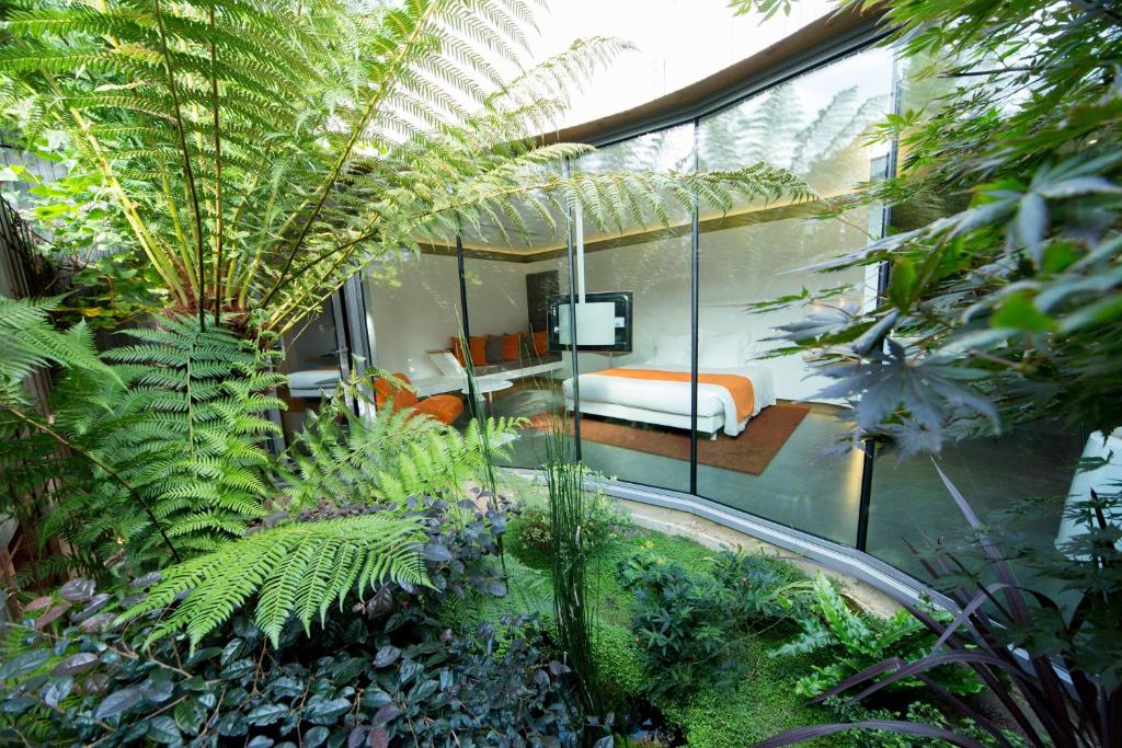 - un jardin avec des plantes et un canapé dans la chambre dans l'établissement MAISON RONAN KERVARREC - Rennes - Saint-Grégoire, à Saint-Grégoire