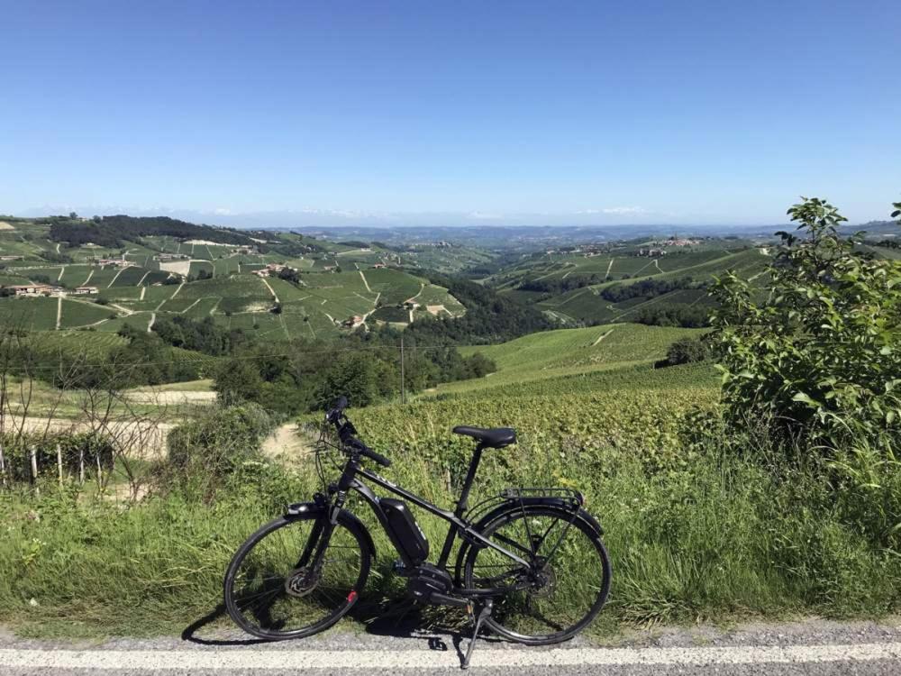 B&B TERRA DI COLLINA Relais