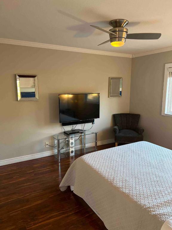 TV a/nebo společenská místnost v ubytování Silicon Valley Family Oasis 5-bedroom Luxury Home