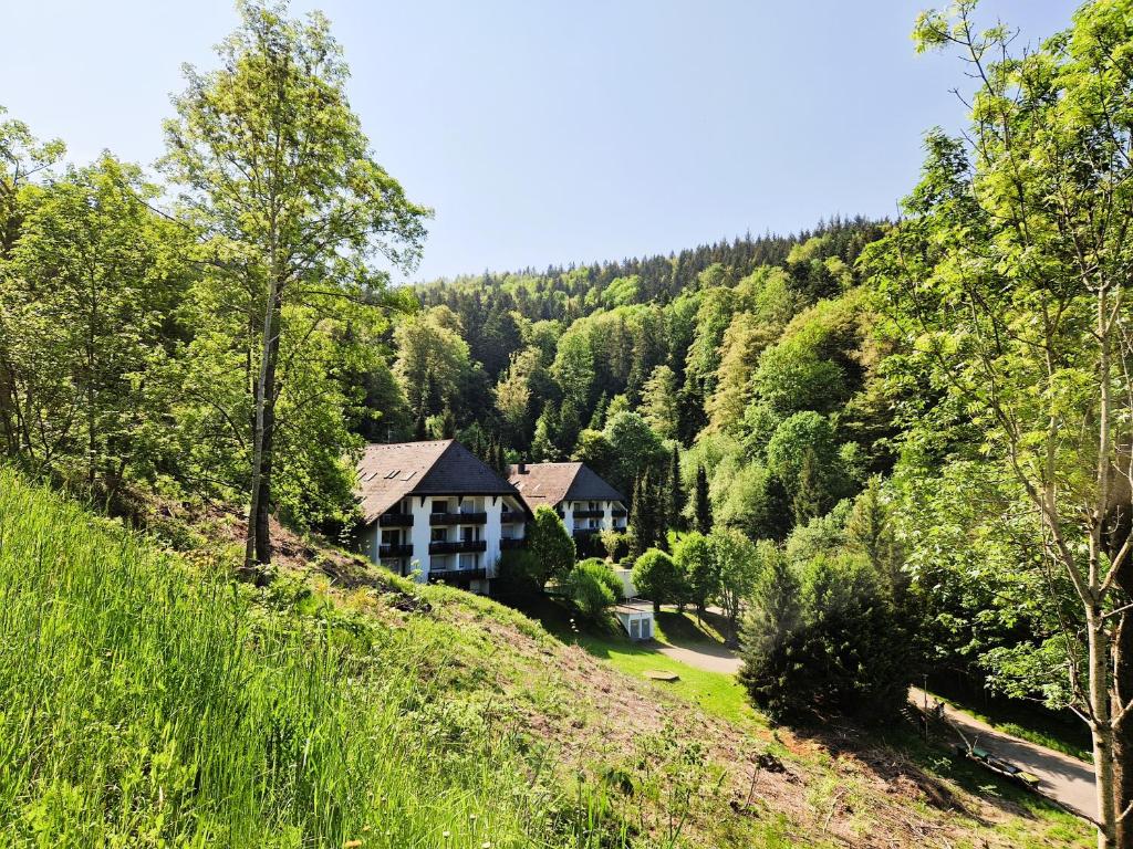 a house in the middle of a forest at Ferienwohnung in Triberg am Waldrand - idyllisch, ruhig, erholsam in Triberg