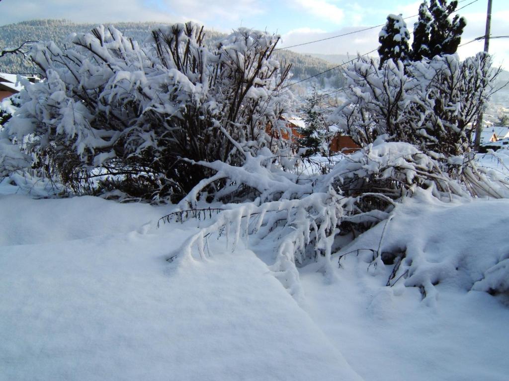 B&B Chalet l'Epinette - 13