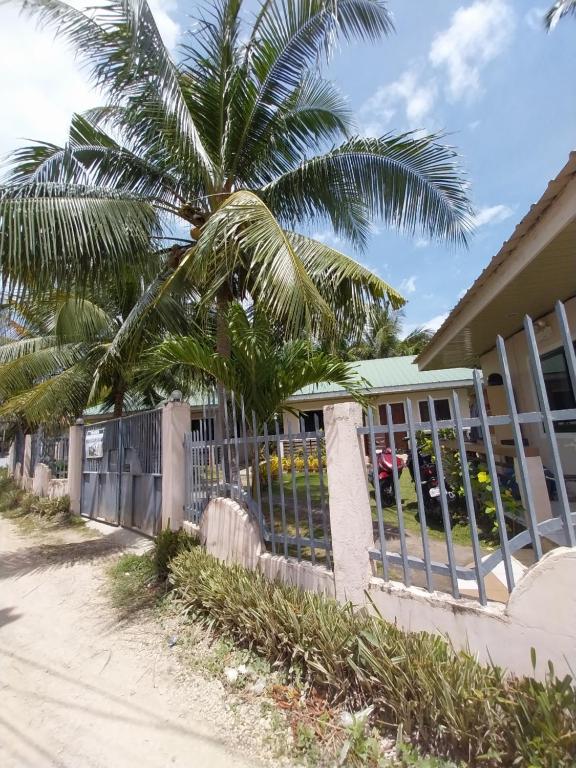 uma palmeira em frente a uma casa com uma cerca em TAVERN ROOMS FOR RENT em Panglao City