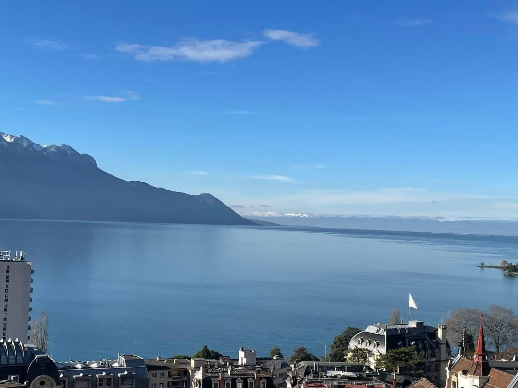 a view of a large body of water at Appartement vue lac Montreux in Montreux