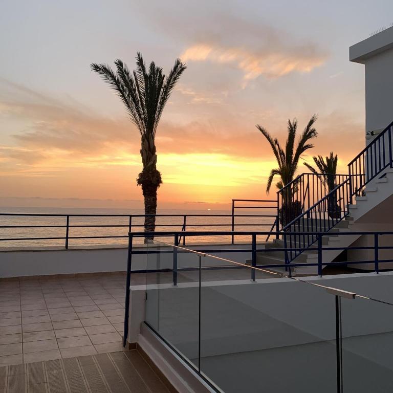 a view of the ocean from a balcony with a palm tree at Vrachia Beach Hotel & Suites - Adults Only in Paphos