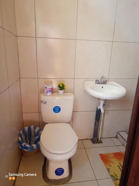 a bathroom with a toilet and a sink at Cocibolca House B&B in Altagracia