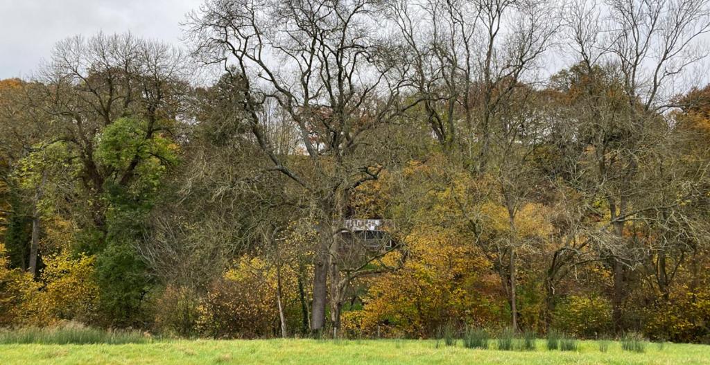 a tree with a sign on it in a field at The cabin at Abberley Glamping in Abberley