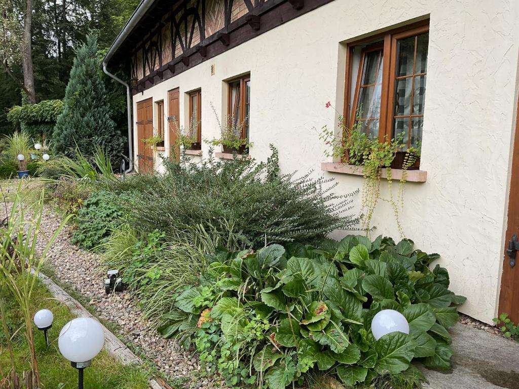 Vonkajšia záhrada v ubytovaní Dom Gościnny Leniuchy
