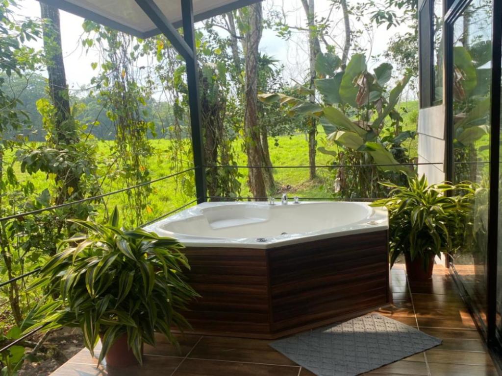 Eden Organic Farm & Bungalows - 豪华别墅