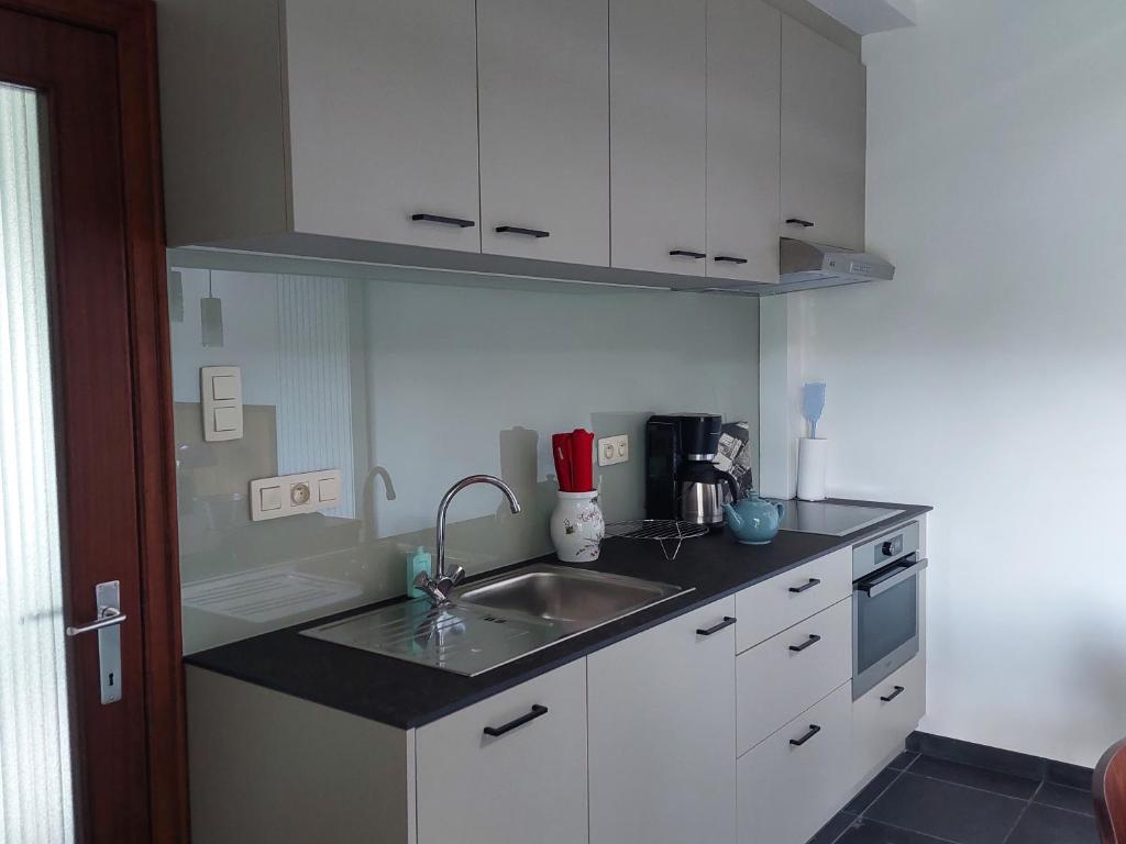 Kuchyň nebo kuchyňský kout v ubytování Vakantiewoning Nieuwdonk