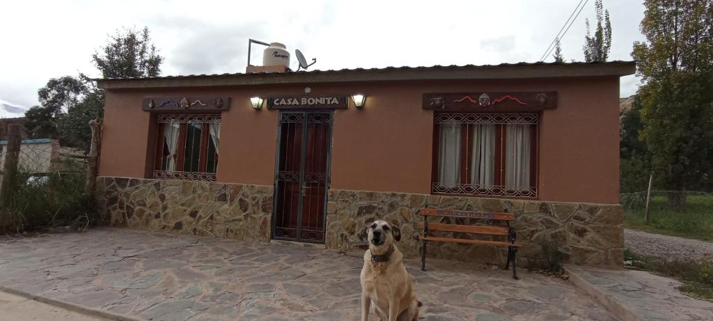 a dog is sitting in front of a house at Casa Bonita in Juella
