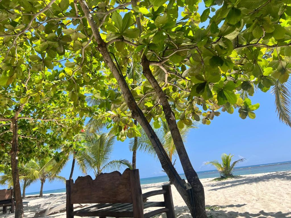 a wooden bench sitting under a tree on the beach at Baharia Blue Studio in Diani Beach