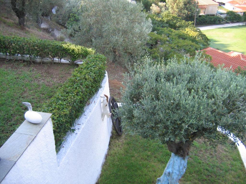 Jardin de l'établissement Villa Frideriki