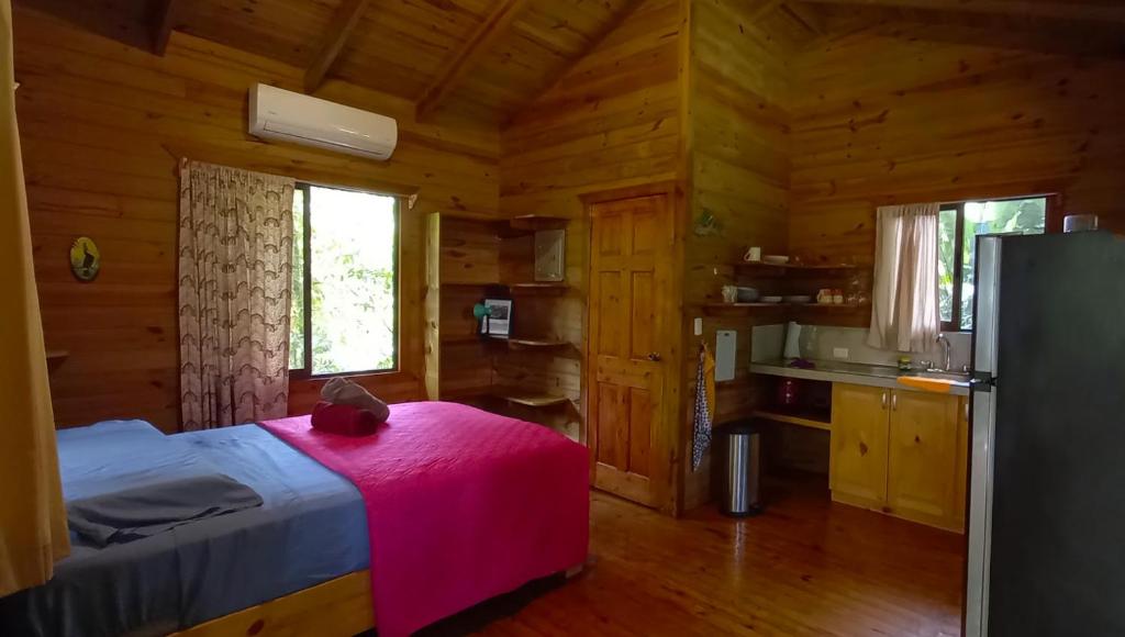 Cabinas Costa Tropicana - Studio