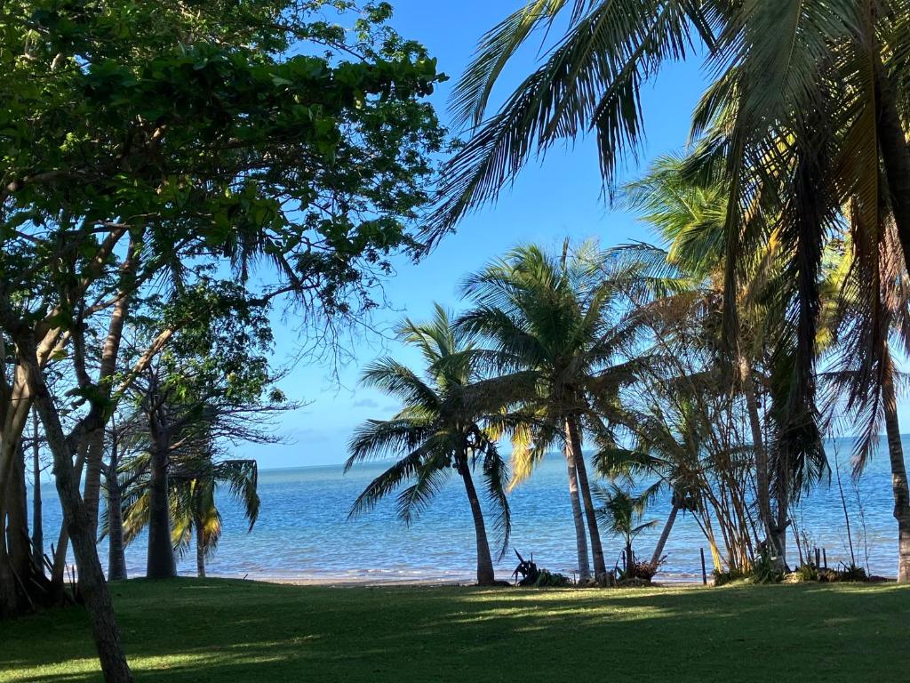 a beach with palm trees and the ocean at Ebony beach in Vilanculos