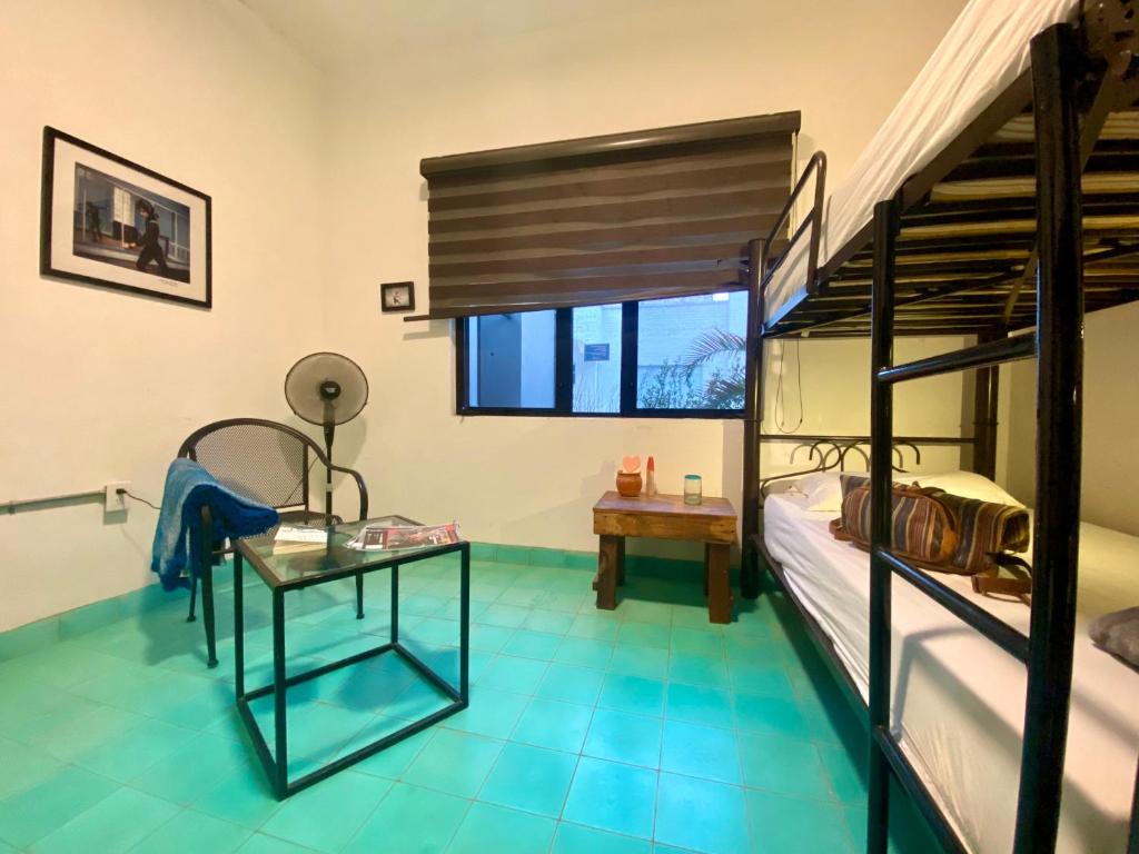 Fotografie z fotogalerie ubytování Hostel Hospedarte Chapultepec v destinaci Guadalajara