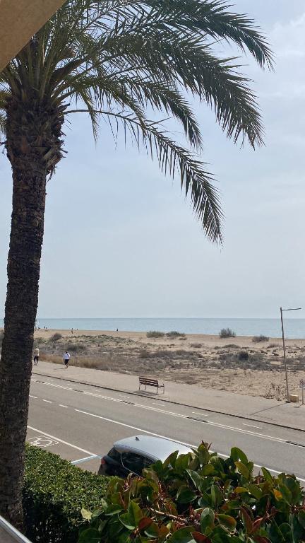 a palm tree and a car parked on the side of a road at Beach front room NOT A HOTEL in Castelldefels