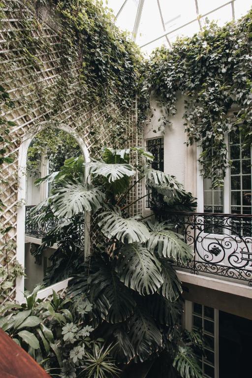 Nima Local House Hotel & Spa