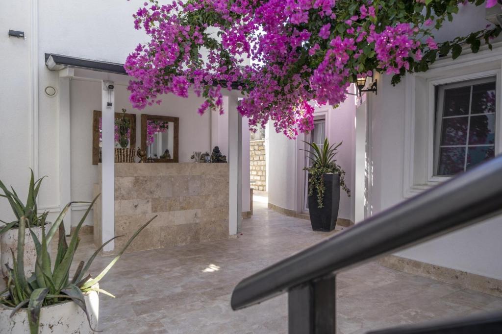 Zahrada ubytování Noa Suite Hotel Only Adult