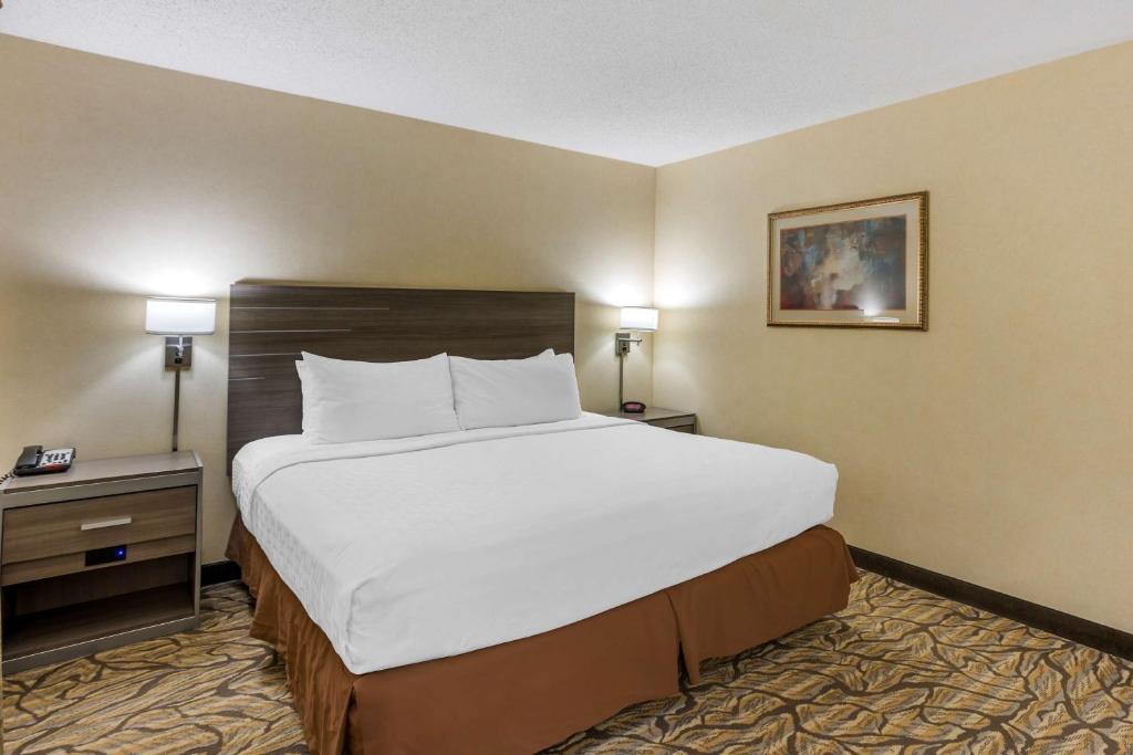 Best Western Danville Inn - 特大号床间 - 禁烟