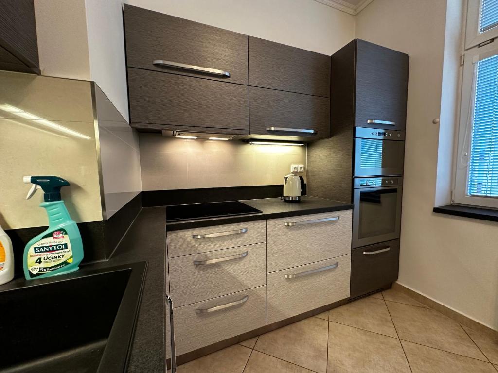 Kuchyň nebo kuchyňský kout v ubytování Apartment Karla Capka Street