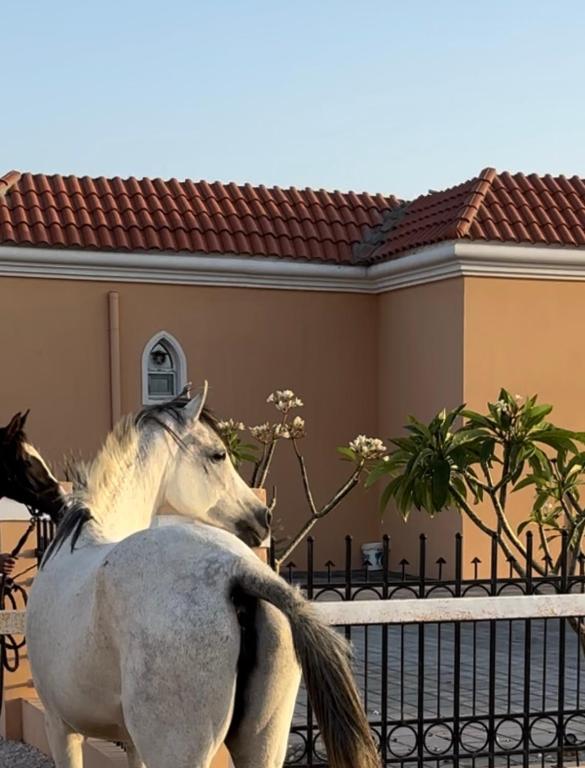 Fotografie z fotogalerie ubytování أستراحة أريـــان v destinaci Gharayfah