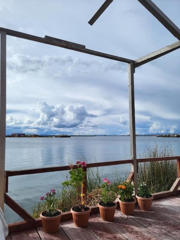 a group of potted plants sitting on a deck near the water at Uros Suyawi Titicaca Lodge in Puno