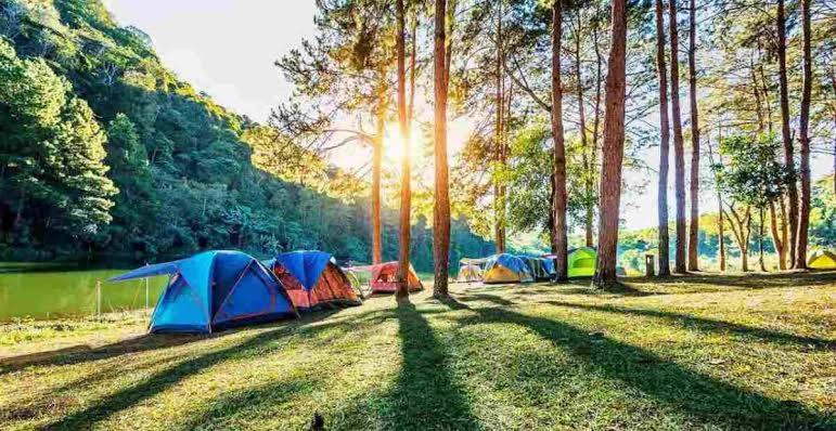 een groep tenten in een veld naast een meer bij Tapian Asri Camp in Bukittinggi