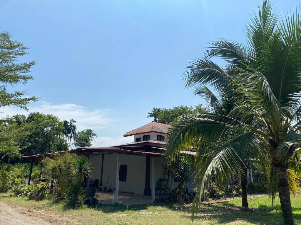 a house with a palm tree in front of it at Beautiful River Homestay Kuala Pontian Rompin in Kuala Rompin