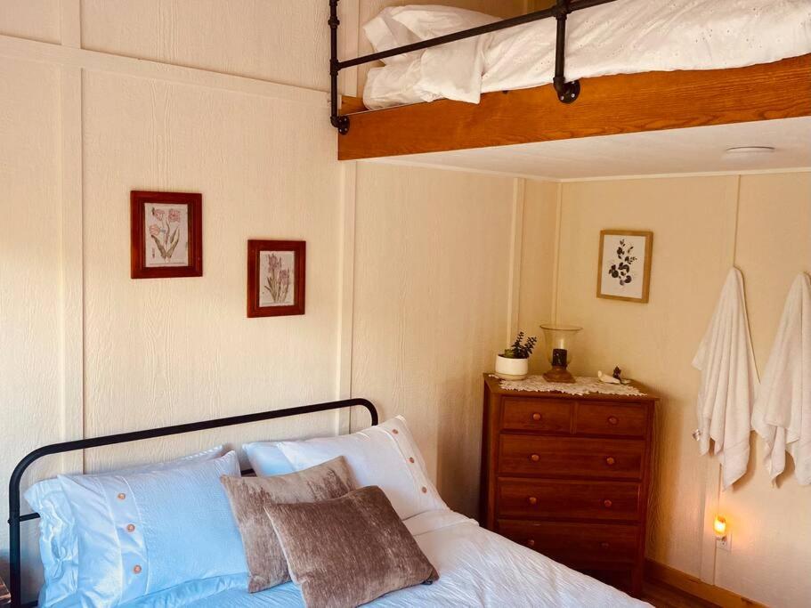 弗尼的住宿－Ski-In Chalet: Private Hot tub, Bonus Bunk House，一间卧室配有双层床和木制梳妆台